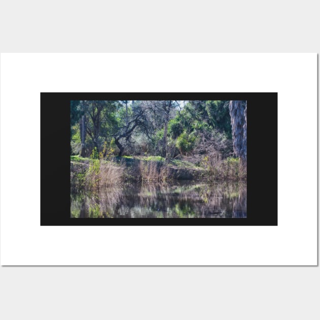 Pond Refelctions Wall Art by Imagery